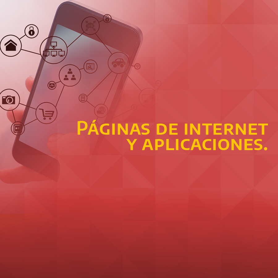 PAGINAS DE INTERNET